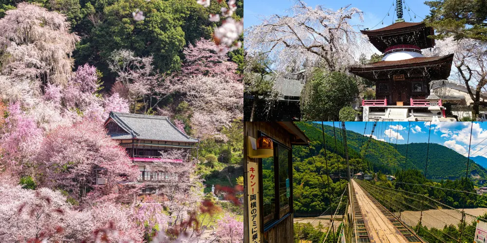 Mount Yoshino in Nara offers a variety of landscapes with each season.