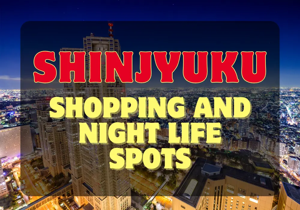 Shinjuku Shopping and Nightlife