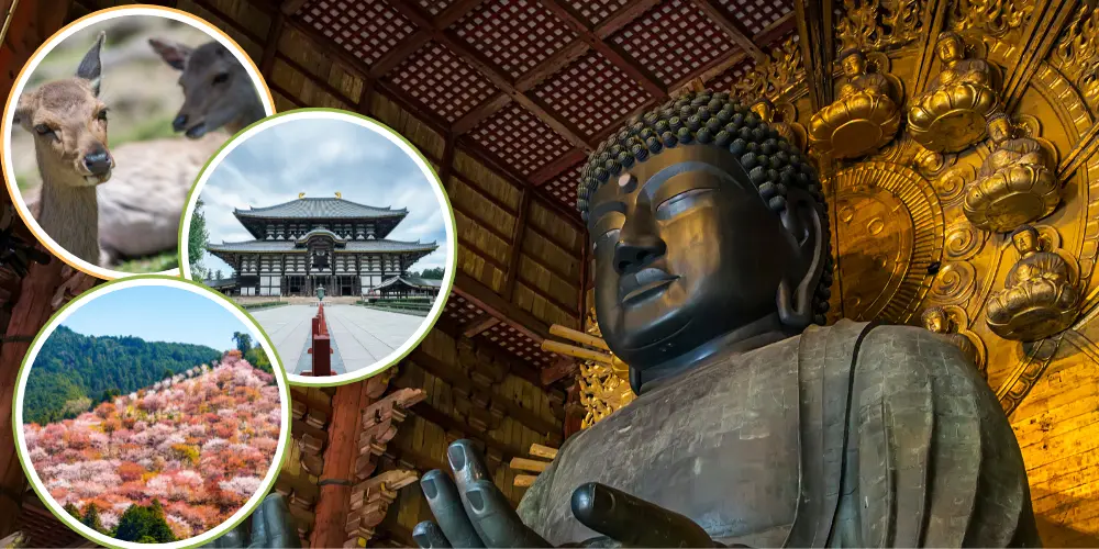 Nara's Todai-ji Temple and the Great Buddha Lead the Many Attractions