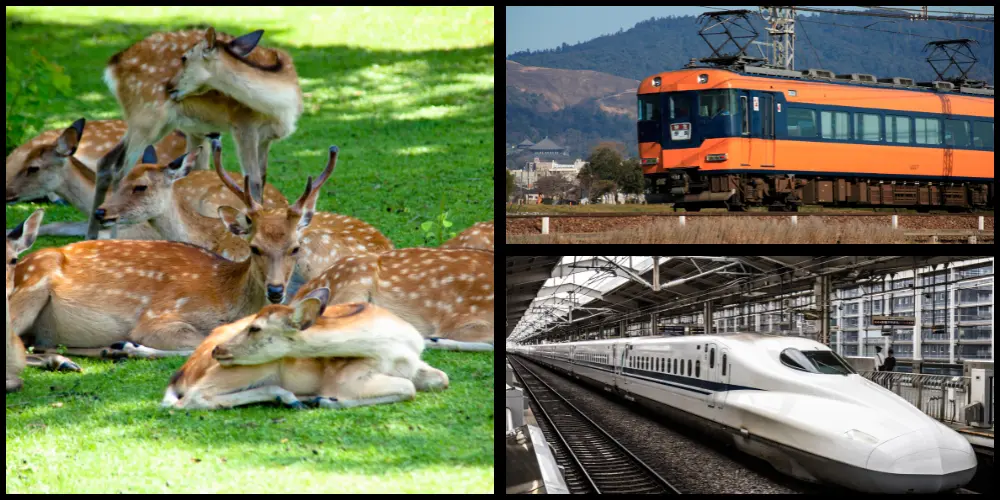 Nara is close to both Osaka and Kyoto.