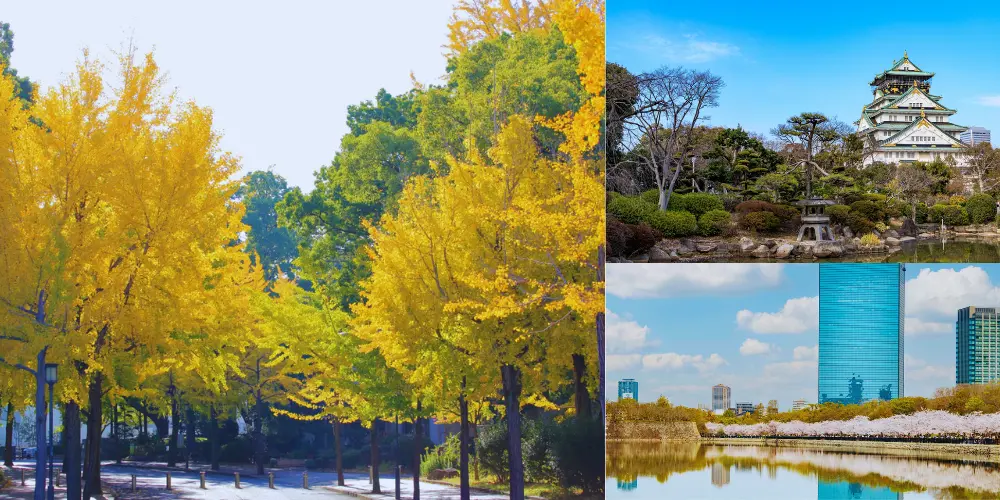 Osaka Castle Park transforms its appearance with seasonal flora