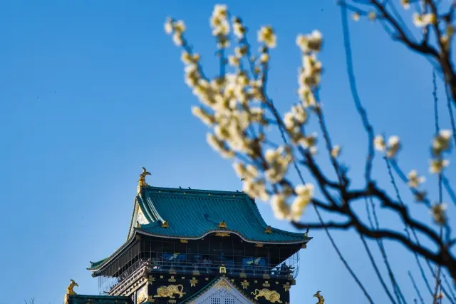 Osaka Castle Main Tower