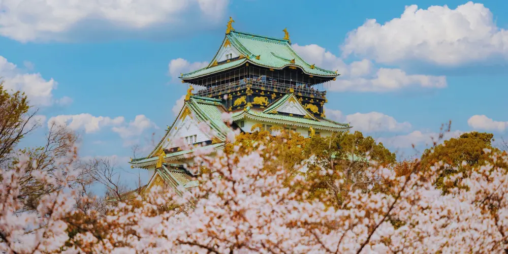 The beautiful Osaka Castle adorned with cherry blossoms in spring.