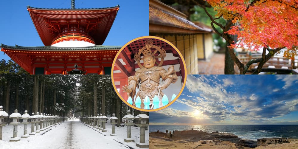 Wakayama boasts beautiful coastlines, lush nature, and a spiritual allure.