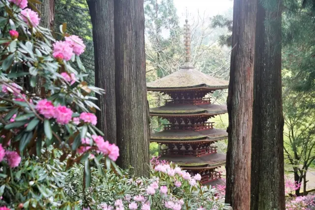 Murou-ji Temple