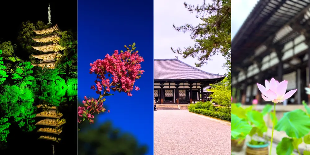 Beautiful temples and flowers in the Nishinokyo area of Nara