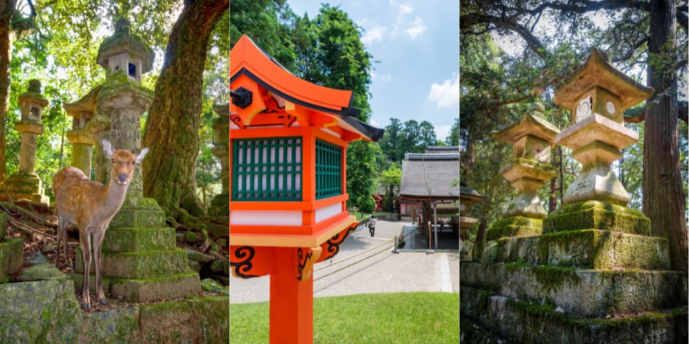 The Wakamiya Fifteen Shrines Pilgrimage