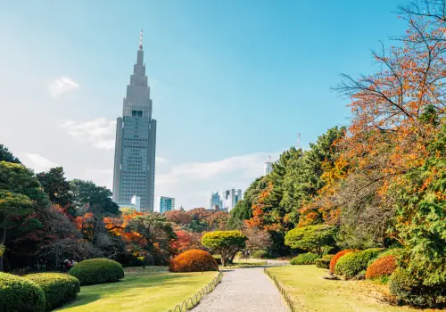 What is Shinjuku famous for?