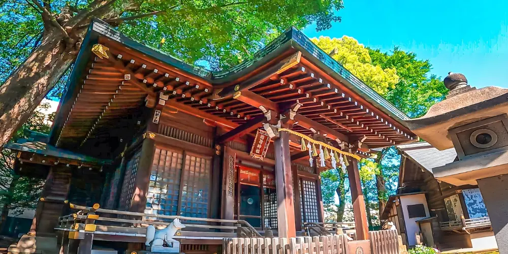 Enjoy a Calm Moment at a Japanese ShrineYou can visit shrines in Japan as much as possible.