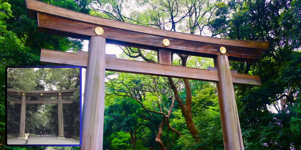 The Grand Torii of Meiji Jingu Shrine