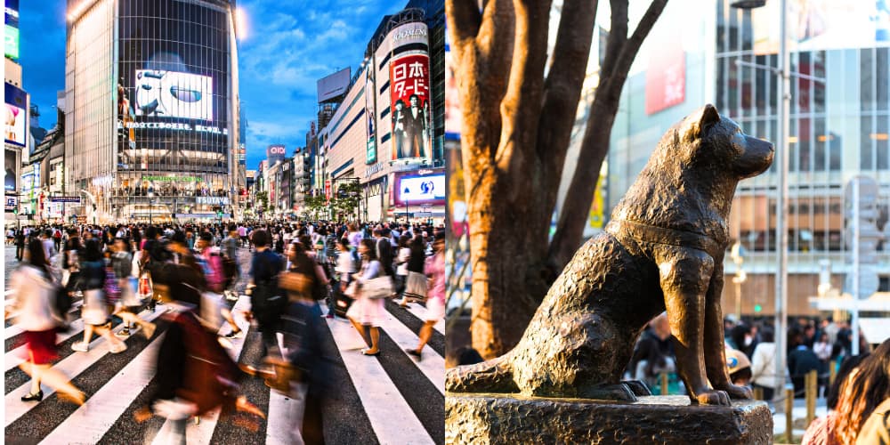 Shibuya scramble crossing and hachiko statue